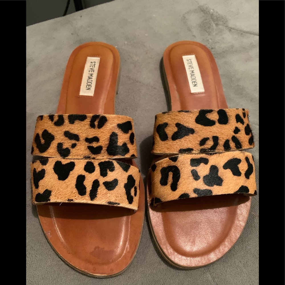Alexandra Leopard sandals. Steve madden